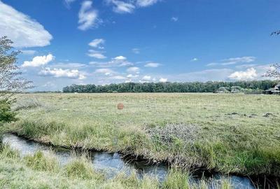 Teren Extravilan - 8