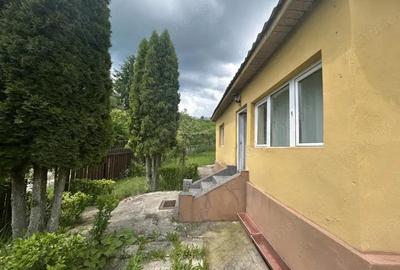 VAND CASUTA CU 1000 MP TEREN, SURDESTI BREAZA VAND CASUTA CU 1000 MP TEREN, SURDESTI BREAZA - 4