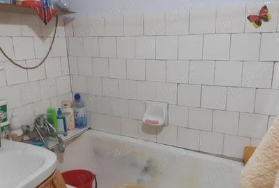 Vanzare Apartament cu 1 camere cf.1 decomandat, mobilat si utilat, pozitie buna, zona Plantelor - 14