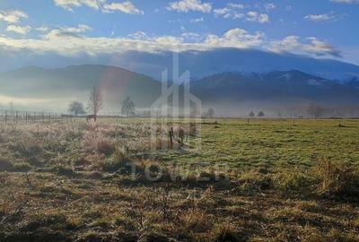 Teren intravilan de vânzare | Valea Avrigului-Porumbacu de Jos - 2
