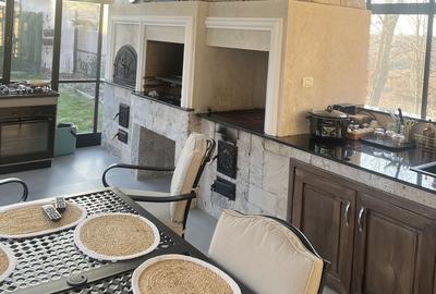 Casă cu 4 camere în Satu Nou de Jos - 19