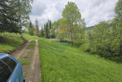 Teren agricol extravilan de 5034 mp, în Iacobeni - 2