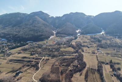 Teren Construcții intravilan de 4043 mp, în Predeluț - 21