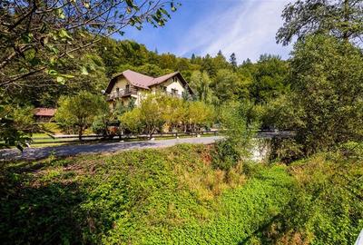 FILM! Pensiune turistica+Casa+transfer afacere+2000 mp teren,Cheile Rasnoavei,Br - 13