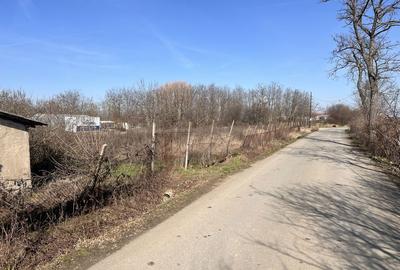 Spațiu comercial, în Borș - 7