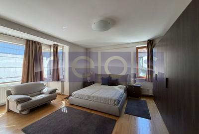 Apartament cu 4 camere semidecomandat, mobilat în Herăstrău - 19