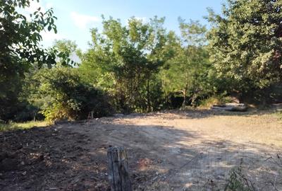 Vand casa batraneasca - 2