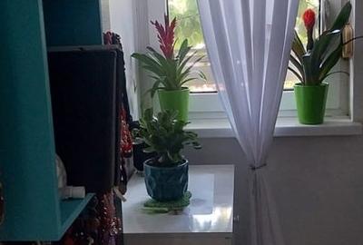 Garsonieră decomandată în Olteniței - 12