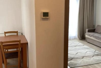 Garsonieră decomandată în Turnișor - 4