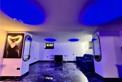 Spatiu Comercial Unic in zona Judetean - 2