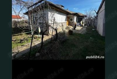 Casă cu Teren 2650 Mp în Boldești - 9