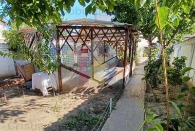 Vila P M 240mp utili si 400mp teren Radu Negru - 2