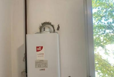 Apartament cu 2 camere decomandat în Calea București - 4