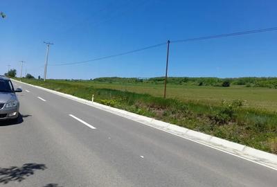 Teren de 2100 mp, în Prăjești (Traian) - 3