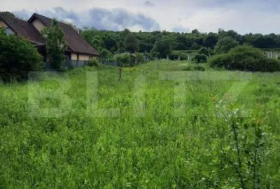 Teren de 1800 mp, în Ciurila - 3