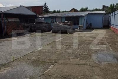 Hala industriala, 5 camere, 895mp, Sangeorgiu de Mures - 2