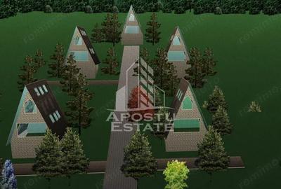 Teren de 4200 mp, în Est - 2