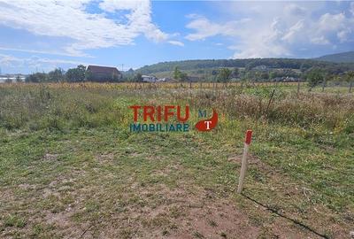 Teren Intravilan în Alba Iulia, Zona Alba Micești - 4