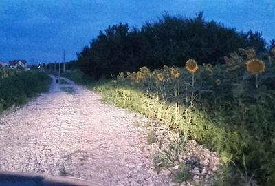 Teren de 3550 mp, în Ciorogârla - 2