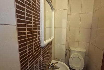 Apartament cu 3 camere decomandat în Gara Mica - 11