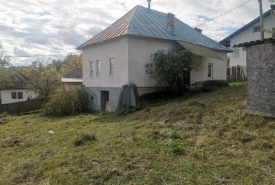 Casa batraneasca Aninoasa/ Arges, teren 1.200 mp - 3