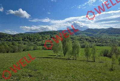 Spațiu comercial, în Vama Buzăului - 6