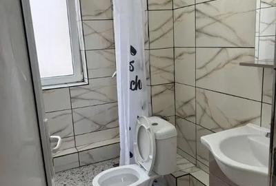 Apartament cu 2 camere decomandat, mobilat în Dacia - 5