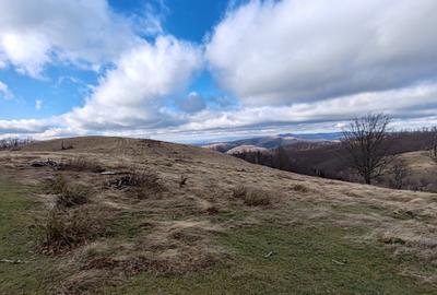 19,5 Ha  TEREN PEISAJ PANORAMIC SPECTACULOS zona turistica montana BULZ -  BIHOR - 44