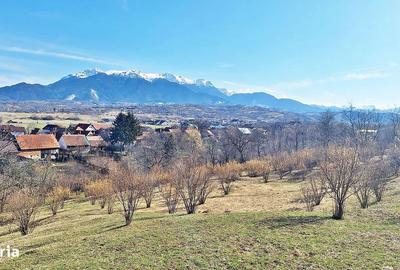 Spațiu comercial, în Predeluț - 7