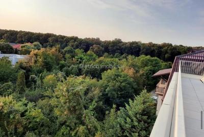 Inchiriere Penthouse  5 camere/ 2 garaje - zona Iancu Nicolae- Padurea Baneasa - 19