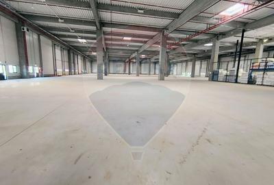 Spațiu industrial, de 1,800 mp, în Exterior Vest - 4