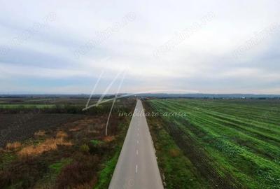 Teren intravilan curti-constructii, industrial, Autostrada A1 - km 62 - 4