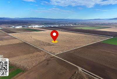 Teren de 324800 mp, în Prejmer - 2