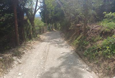 Teren de 2000 mp, în Chirițeni - 5