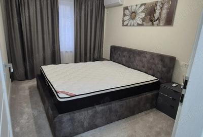 Inchiriere ap 2 camere Gorjului - 4