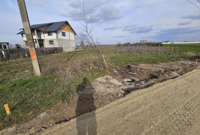 Teren de 1000 mp, în Enoșești - 3