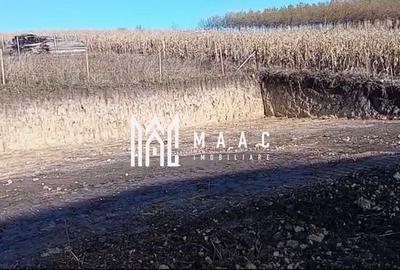 Teren 350 mp I Sura Mare I Autorizatie Casa Parter I Utilități - 4