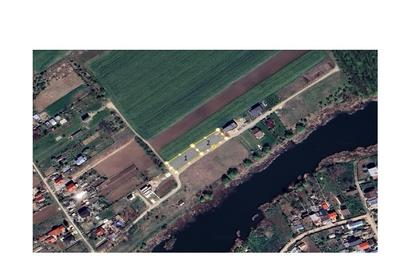 Teren Moara Vlasiei lac toate utilitatile - 3