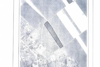 Teren agricol extravilan de 21800 mp, în Gruiu - 5