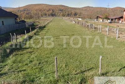 Teren 5400 mp , Stalpeni , sat Radesti - 1