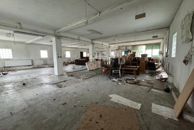 Spatiu mixt de inchiriat - Brasov, zona Craiter (hala + birouri) - 3