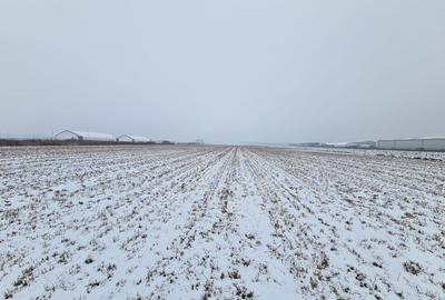 Teren industrial de vanzare in Stupini - 1
