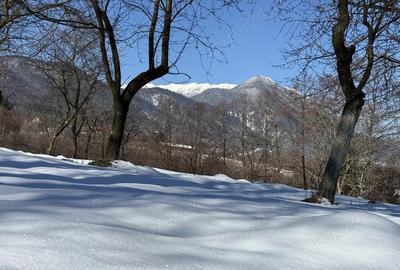 Teren de 763 mp, în Predeluț - 3