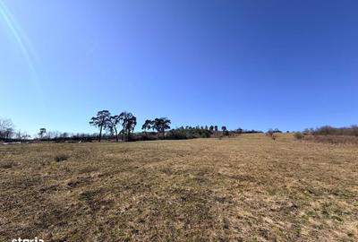 Spațiu comercial, în Central