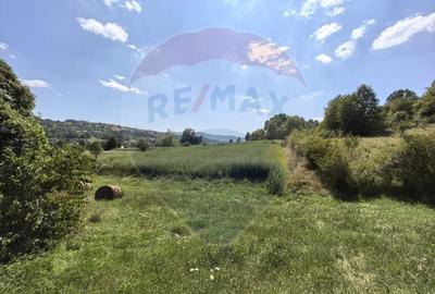 Casa cu teren generos de 62 ari - Berinta, Maramures - 7