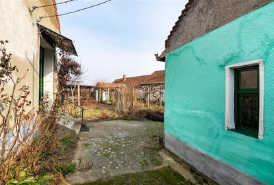 RECO Casa cu teren 3036mp, Bors - 19