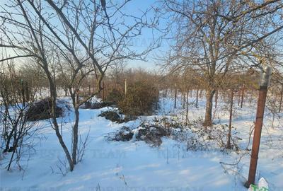 Teren 2400mp stradal casa batraneasca in Mihai Voda Giurgi - 1