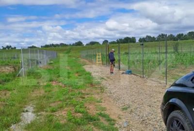 Teren de 2400 mp, în Careiului - 8