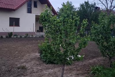 Vanzare casa vacanta - 1