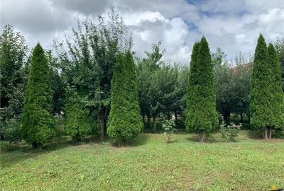 1.300mp teren intravilan,livada, utilitati, locatie premium: rezidential/comerci - 4